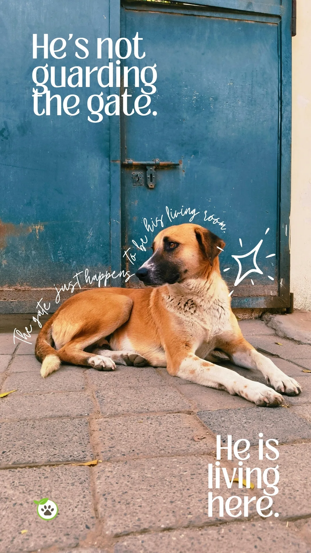 Pashuverse - “He’s not guarding the gate. He is living here.”