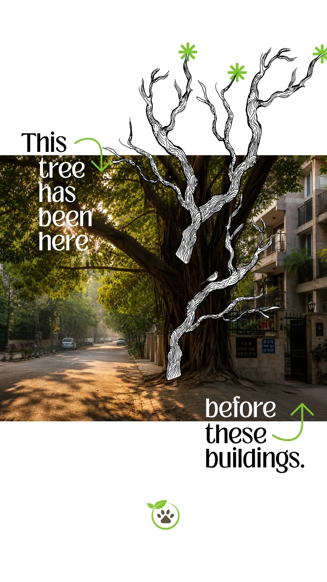 Pashuverse - “This tree has been here before these buildings.”
